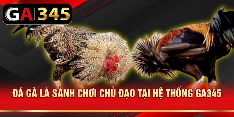 Đá gà là sảnh chơi chủ đạo tại hệ thống GA345