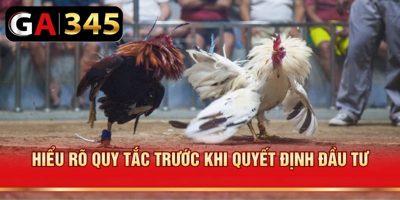 Hiểu rõ quy tắc trước khi quyết định đầu tư