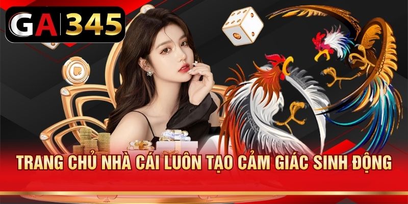 Trang chủ nhà cái luôn tạo cảm giác sinh động